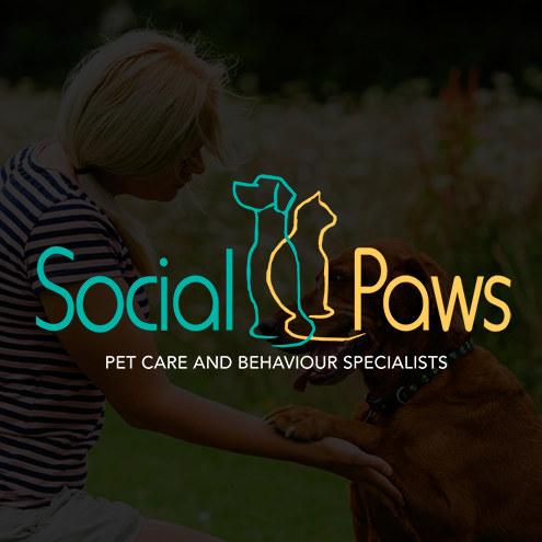 Social Paws